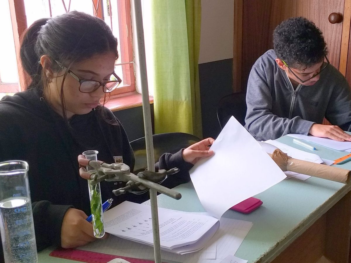Two learners working through a Physical Science practical